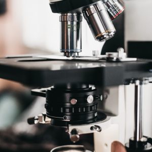 misael-moreno-fN6K30xtiKE-unsplash misael-moreno-fN6K30xtiKE-unsplash